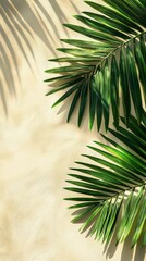 Poster - Vibrant palm fronds arch gracefully towards a sunlit backdrop, their leaves creating intricate patterns of light and shadow on a warm, muted wall, evoking a sense of peaceful tranquility