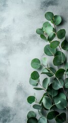 Poster - Soft eucalyptus branches gracefully adorn a textured surface, inviting a sense of tranquility and freshness to the space. Ideal for enhancing any environment with a natural touch