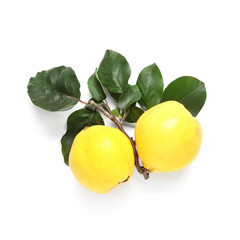 Wall Mural - fresh quinces with green branch on white background