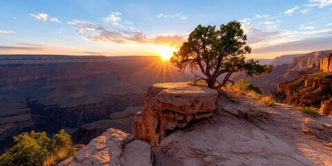 Aufkleber - Scenic landscape at sunset with a rugged cliffside tree and canyon views bathed in golden light. Dramatic sky and natural rock formations create a tranquil atmosphere