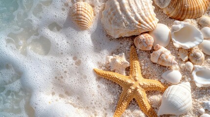 Poster - Close up view of sea shells and starfish on sandy beach with foamy water. Perfect for summer, vacation, and coastal themes