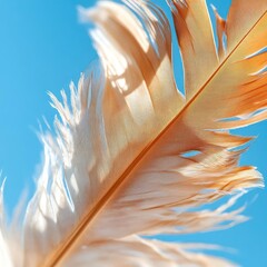 Poster - Close up of a brown and white feather against a bright blue background