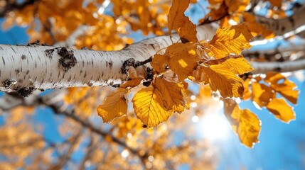 Leinwandbilder - Close up of golden autumn leaves on tree branches against a blue sky and bright sunlight, creating a warm, vibrant, and serene natural scene