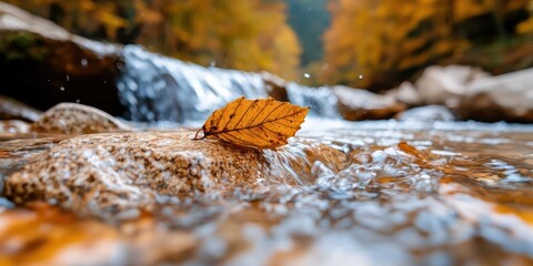 Aufkleber - Close up of orange leaf on rock in flowing water with blurred background of autumn trees and waterfall