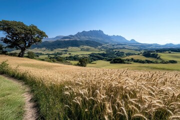 Poster - Generic field with pathway leading to a mountainous landscape under a clear blue sky with vibrant green rolling hills and a solitary tree