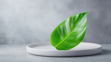 Poster - Fresh green leaf placed on a stylish plate surrounded by a clean productivity circle poster for a bright aesthetic