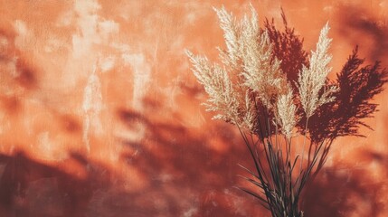 Poster - Pampas grass against a textured terracotta wall, casting shadows.