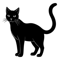  A cat  silhouette vector illustration on white background