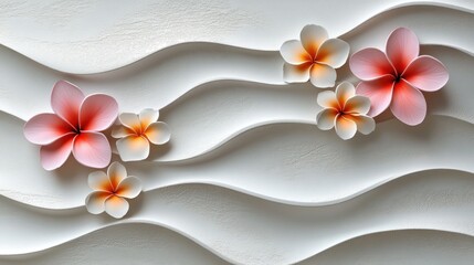 Poster - Pink and white plumeria flowers on wavy white background.