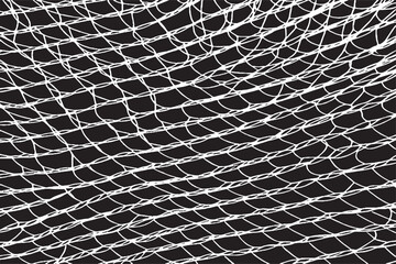 fishing net on a black background
