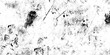 © Husni - Grunge black and white crack paper texture design. Grunge surface wall cracks brushed plaster wall. Abstract seamless vector gray concrete texture. Gray distressed grunge texture or panorama wall art.