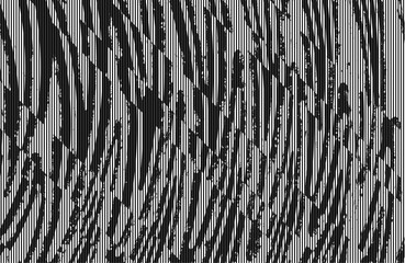 Poster - texture pattern irregular line shape with curves. abstract background