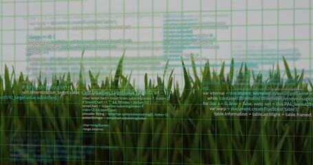 Poster - Animation of computer code overlaying green grass, blending technology and nature