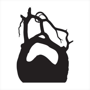 Driftwood Mystique black silhouette
