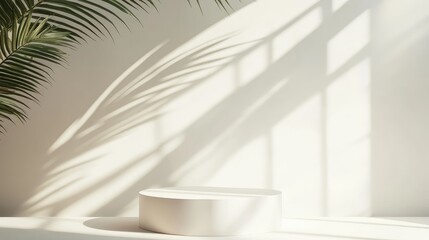 Aufkleber - A minimal white podium bathed in soft dappled sunlight, with palm leaf shadows creating a tropical, luxurious skincare background.