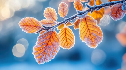 Poster - Frosty Autumn Leaves on a Branch Against a Soft Blue Bokeh Background Capturing the Serene Beauty of Winter's Touch with Warm Light and Delicate Ice Crystals