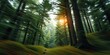 © Ahingska - Sunlit Forest Lush Green Trees Nature s Motion Blur Tranquil Woods Serene Landscape