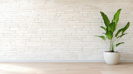 Poster - Modern and Spacious Interior Featuring Textured Light Wall with Potted Plant for Contemporary Home Design Inspiration