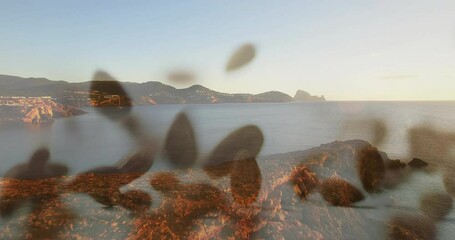 Poster - Blurred leaves overlaying serene ocean view with rocky coastline in background