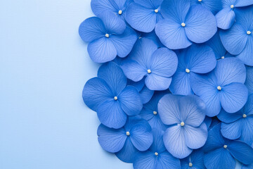Poster - A clean and modern image with vibrant blue petals evenly spaced on a light blue background, perfect