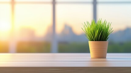 Poster - Serene and Modern Office Scene with Potted Green Plant Bathed in Warm Sunrise Light for Creative and Inspirational Work Environment ,Office interior backdrop for online meetings