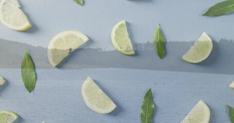 Poster - Lemon slices and green leaves floating on serene lake with animation effect