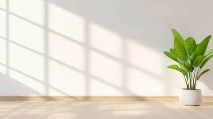 Poster - Tranquil Minimalist Interior Scene with Bright Light and Green Plant on Wooden Floor Emphasizing Serenity and Simplicity in Modern Design ,Office interior backdrop for online meetings