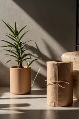 Poster - warm sunlight illuminates a potted plant and wrapped package in a modern interior setting