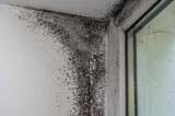 There is a black mold in the corner of the window