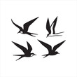 © SYED - vector silhouettes of birds