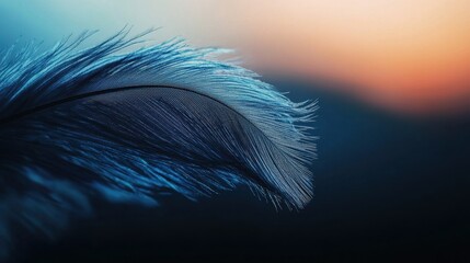 Poster - Vibrant blue feather with silky, delicate textures, glowing under warm natural light, highlighting fine details.