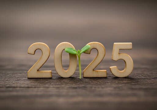 A tiny sprout of hope emerges alongside the year 2025, symbolizing new growth and a promising future on a rustic wooden surface.