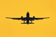 © Michael - Silhouette of a passenger airplane flying on a yellow background is landing with landing gear extended