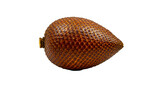A close up shot of a single salak fruit isolated on a black background showing its textured skin detail