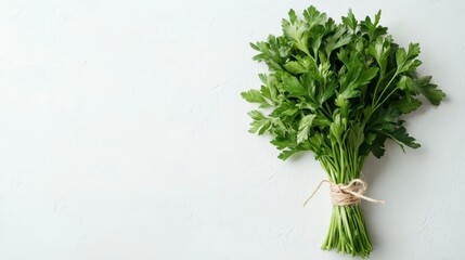 Poster - Fresh parsley bunch tied with twine on white background. (1)