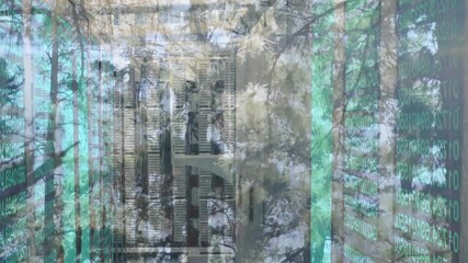 Poster - Data processing animation over forest scene with digital code overlay