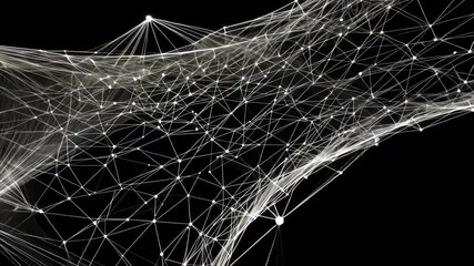 Poster - dynamic white geometric abstract network grid with complex connection on black backdrop