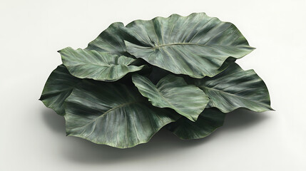 Poster - The large leaves of the tropical tree lie one on top of the other, overlapping each other, 3d rendering