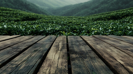 Poster - Wooden planks on background of picturesque tea plantation, based on