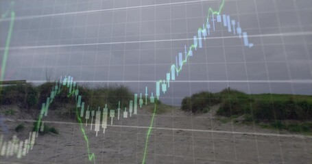 Poster - Stock market graph animation over sandy beach path with grassy dunes