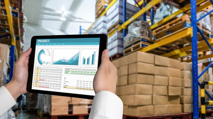Poster - spreadsheet document information financial startup concept. data and graphs in spreadsheet documents