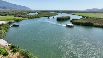 Wall Mural - view of Dalyan River with boats surrounded by green fields under clear blue sky in Fethiye, Turkey