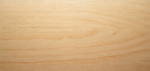 Poster - Close-up of maple wood texture, natural grain patterns, wood grain. Light brown background offers minimalist style, versatile for design business concepts. Timber, carpentry, woodworking concept.