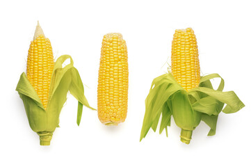 Wall Mural - fresh corn cobs on white background