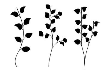 Silhouette Leaves branch and floral plants element collection.Vector illustration