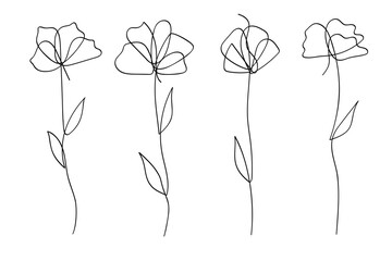 Poster - One continuous line art flowers blossom collection.Vector illustration.