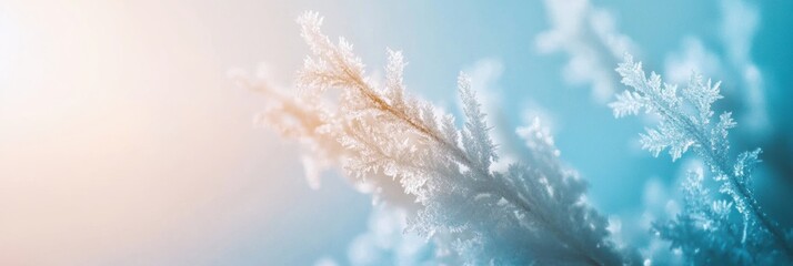 Leinwandbilder - Frozen ice crystals create delicate abstract patterns in soft blue-white gradient, showcasing winter minimalism in natures artistry