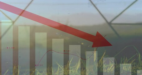 Poster - Over nature background, red arrow pointing down on bar graph, showing decline