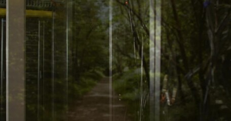 Poster - Forest path seen through glass door with tree reflections creating animation effect