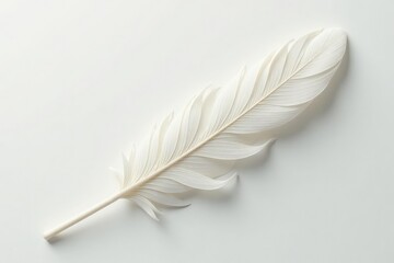Wall Mural - delicate white feathers against pure white backdrop, serenity, image